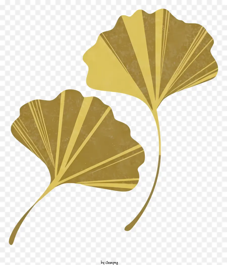 Hojas De Oro，Black Background PNG