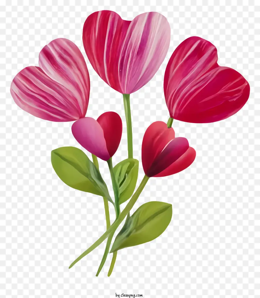 Tulipanes Rosados，Ramo PNG