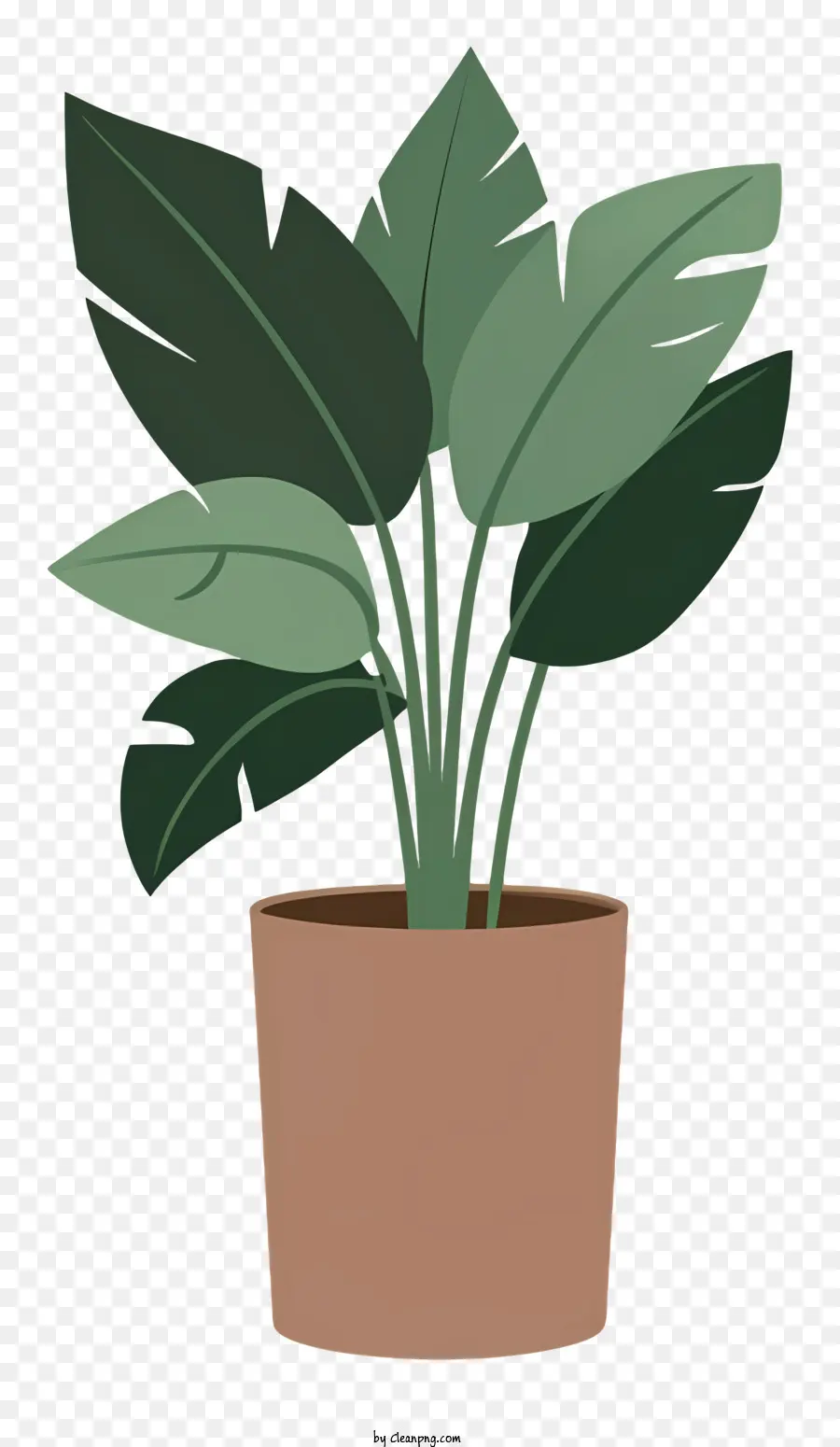 Planta En Maceta，Planta PNG