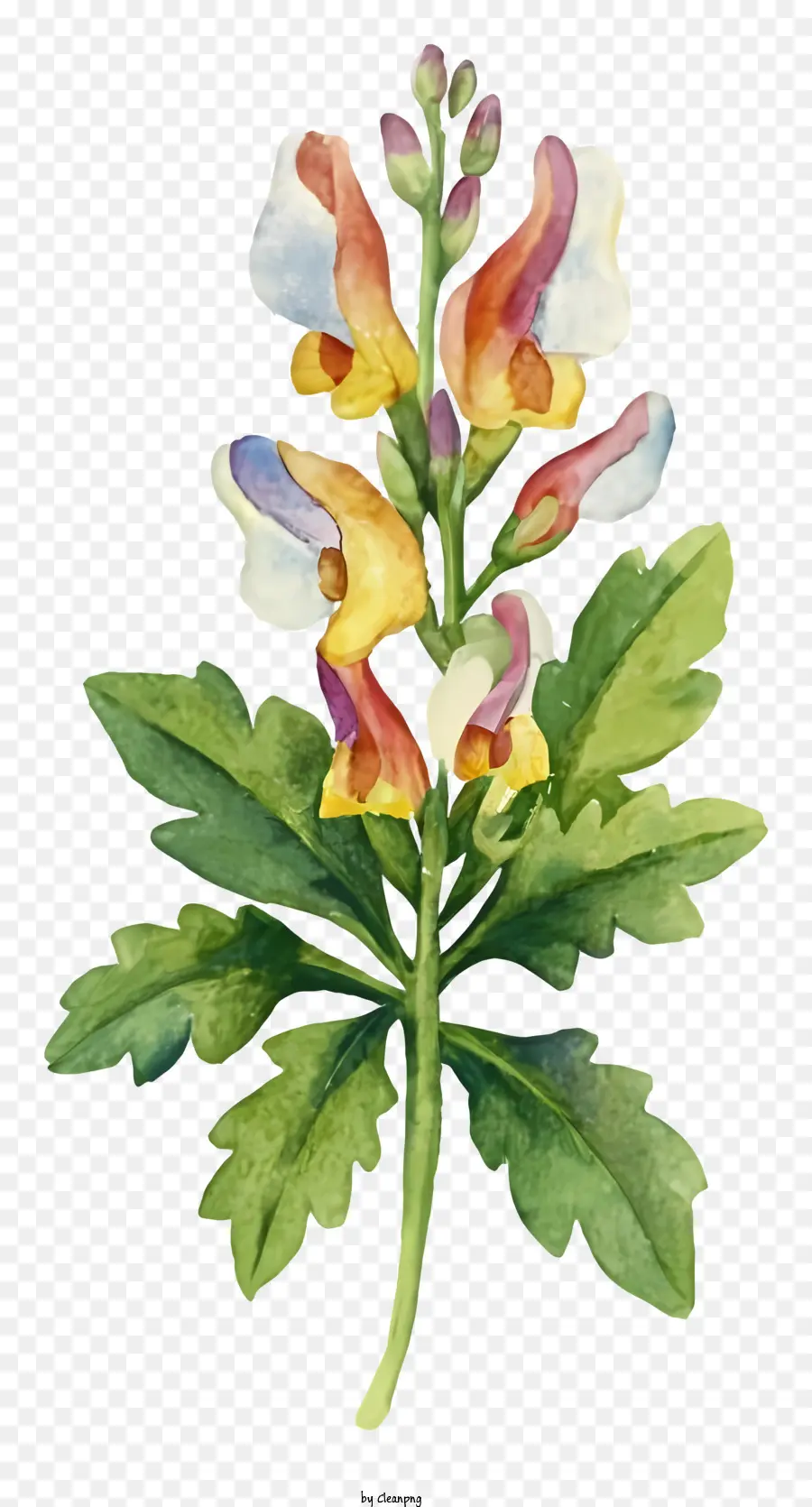 Pintura A La Acuarela，Flower Painting PNG