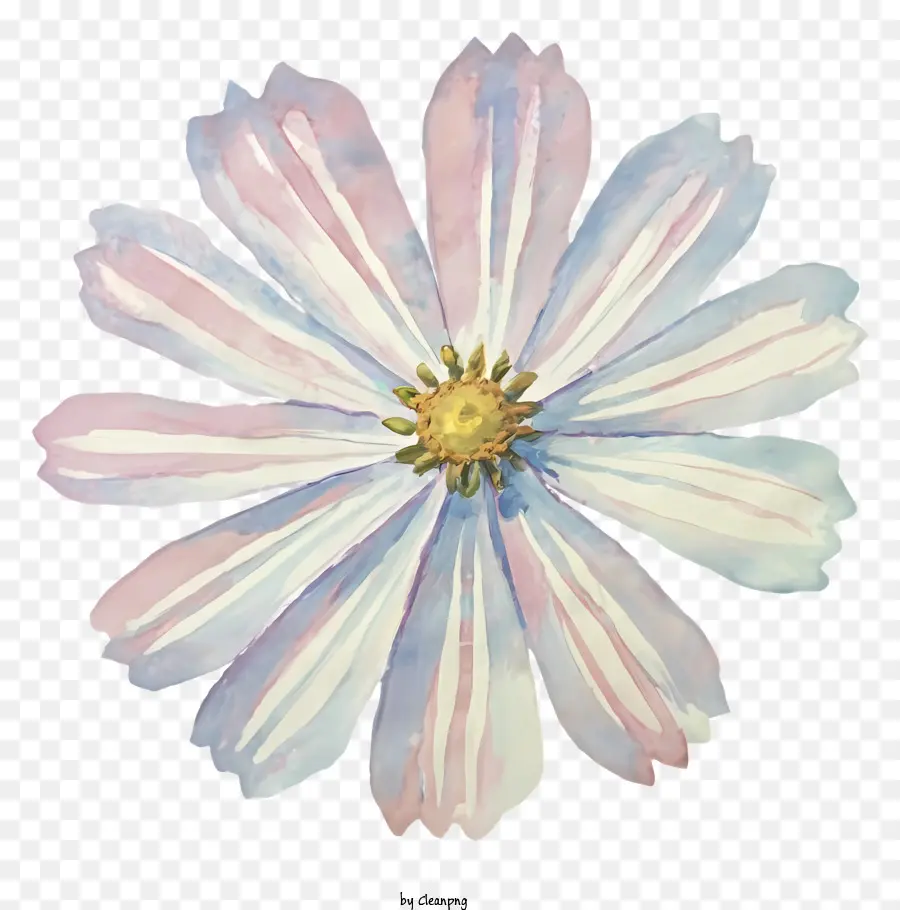 De Cerca，Flor Blanca PNG