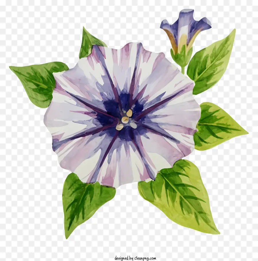 Pintura，Flores De Gran Tamaño PNG