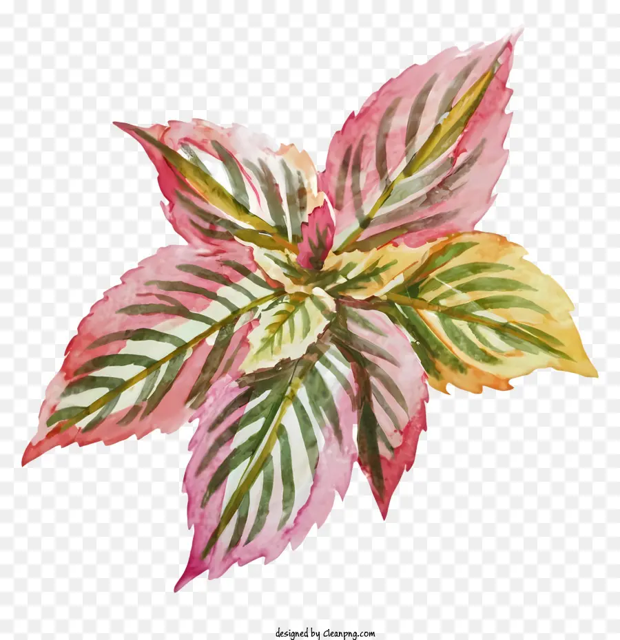 Planta En Maceta，Pintura A La Acuarela PNG