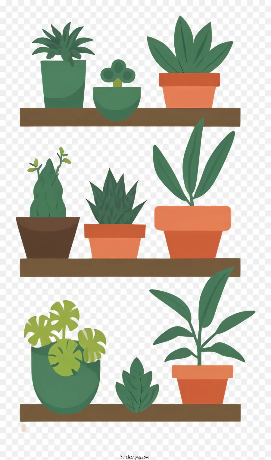 Las Plantas En Maceta，Estante PNG