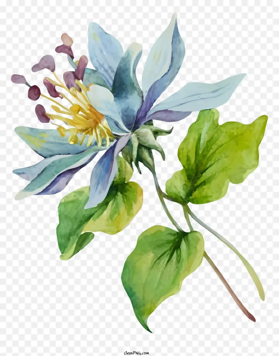 Pintura A La Acuarela，Flor PNG