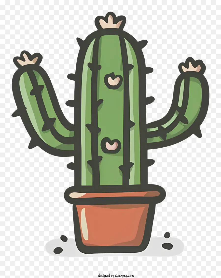 Cactus，Hojas Verdes PNG