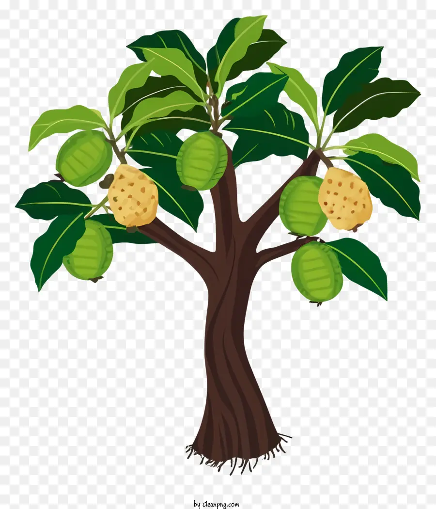 Árbol，árbol Frutal PNG