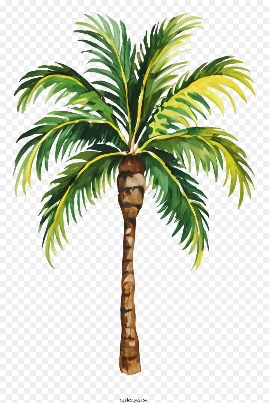 Pintura De Palmera，Palmera PNG