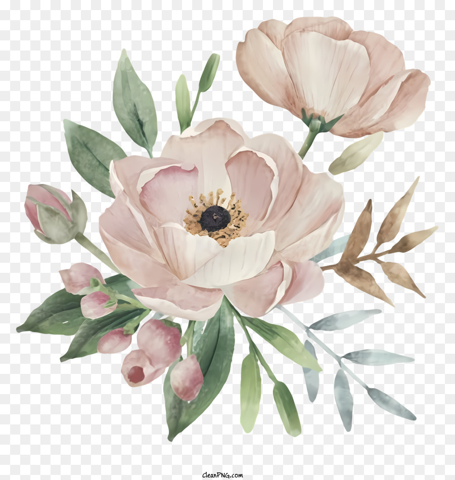 Arreglo De Flores，Flores De Peonía Rosa PNG