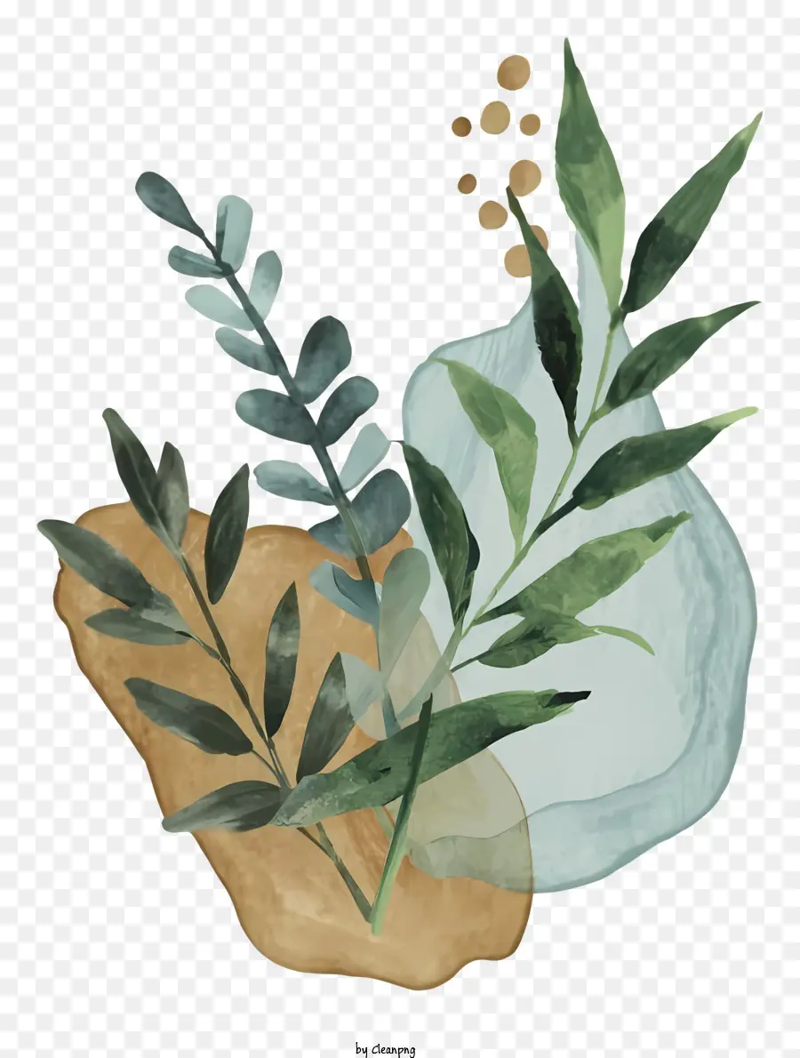 De Hojas De La Planta，Planta Circular PNG