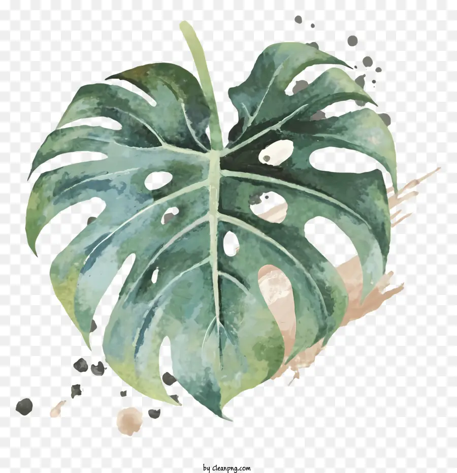 Hoja Verde，Hoja De Monstruo PNG