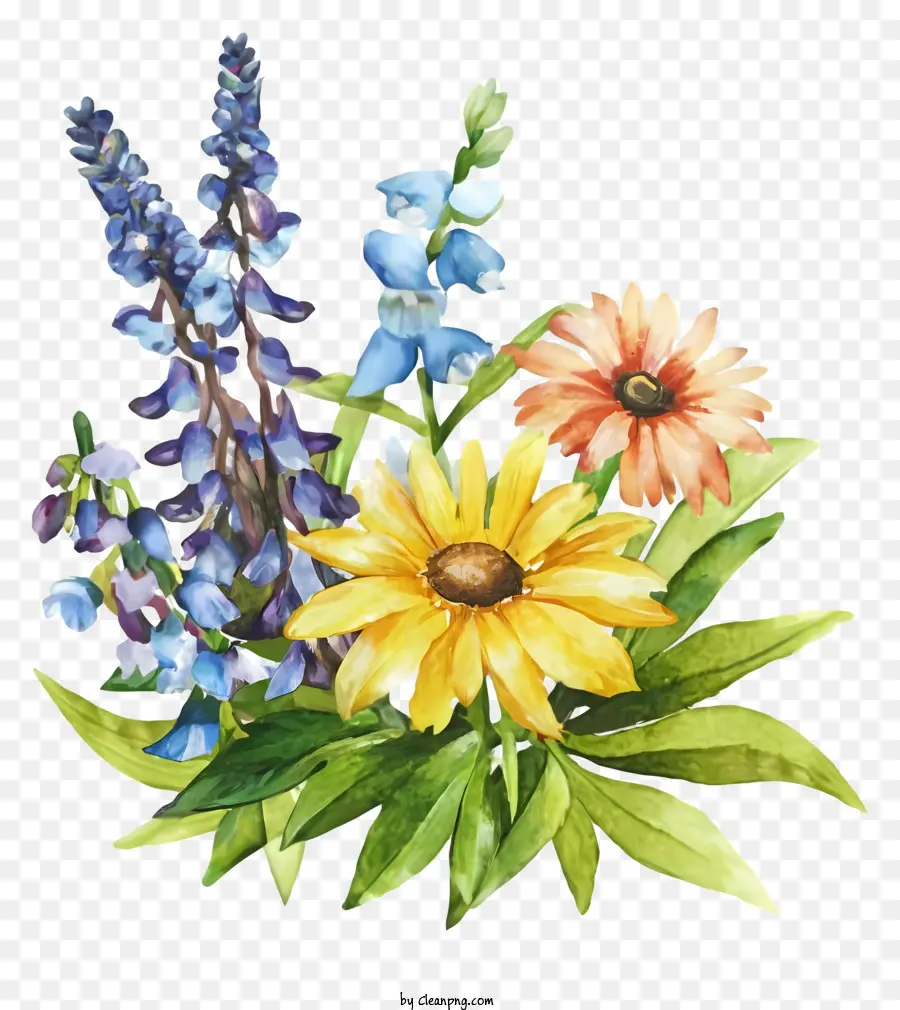 Flores，Las Flores De Colores PNG