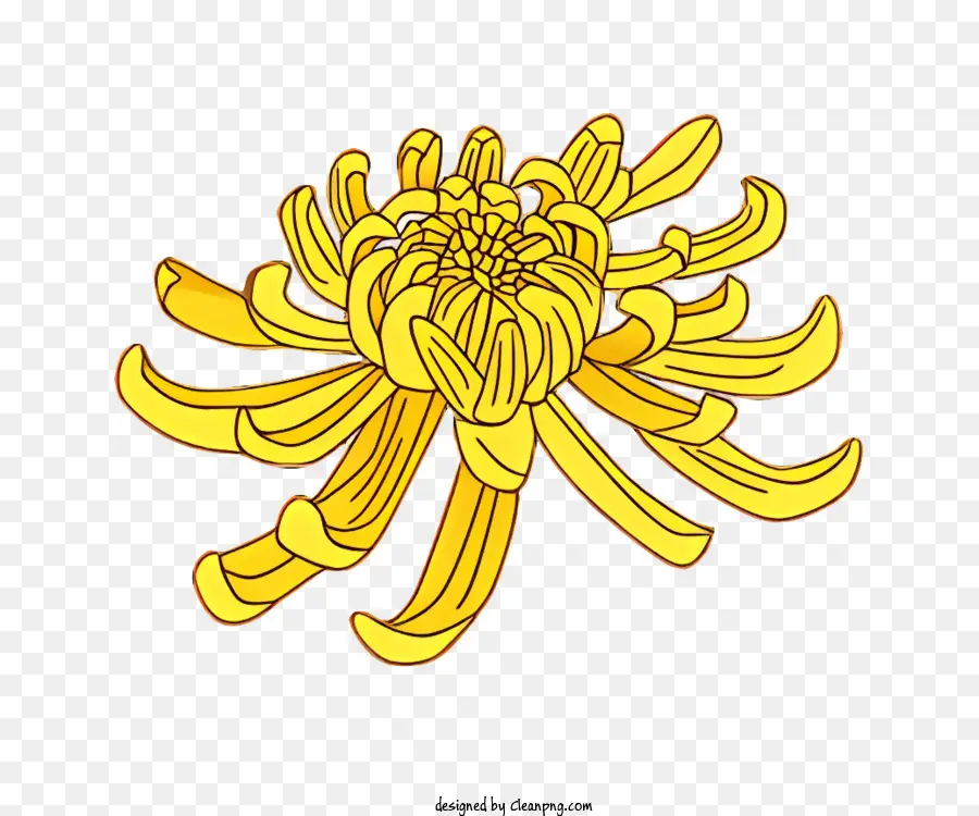 Flor Amarilla，Estambre PNG