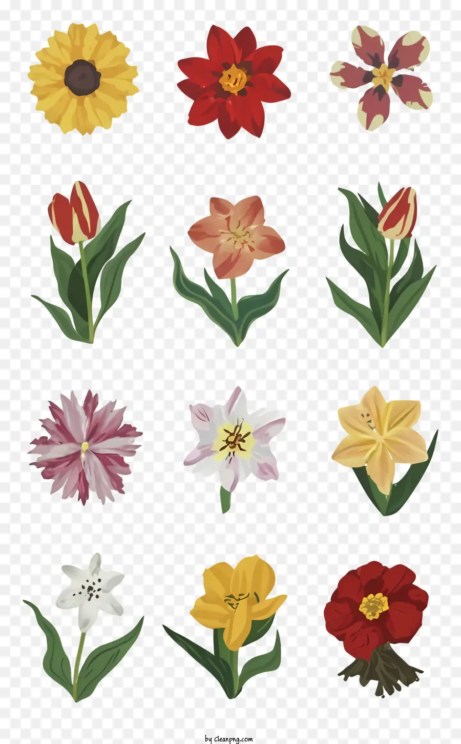 Flores，Ramo PNG