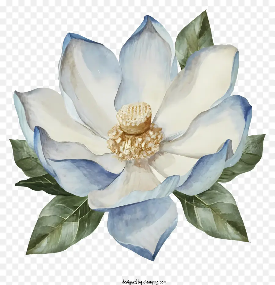 Pintura A La Acuarela，Flor Azul Grande PNG