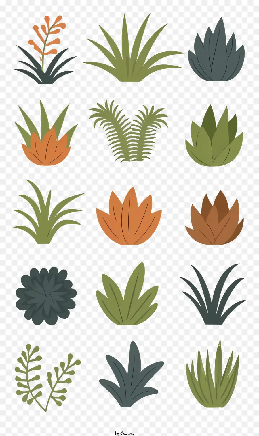 Las Plantas，Las Plantas Suculentas PNG