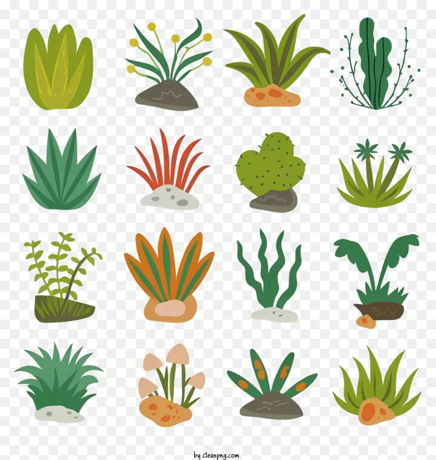 Plantas，Arbustos PNG