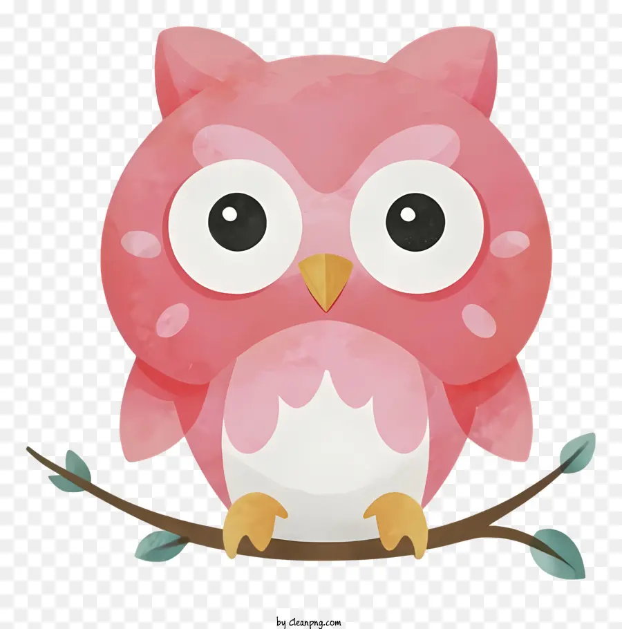 Lindo Búho，Pink Owl PNG