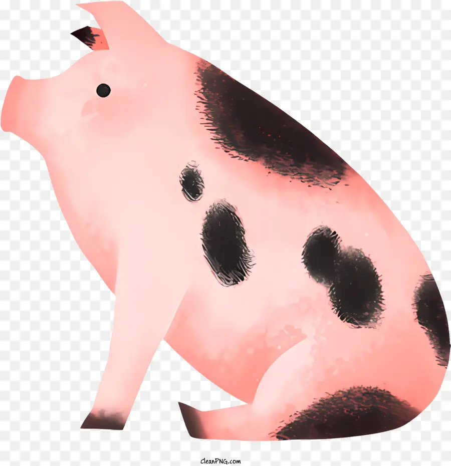 De Dibujos Animados De Cerdo，Cerdo PNG