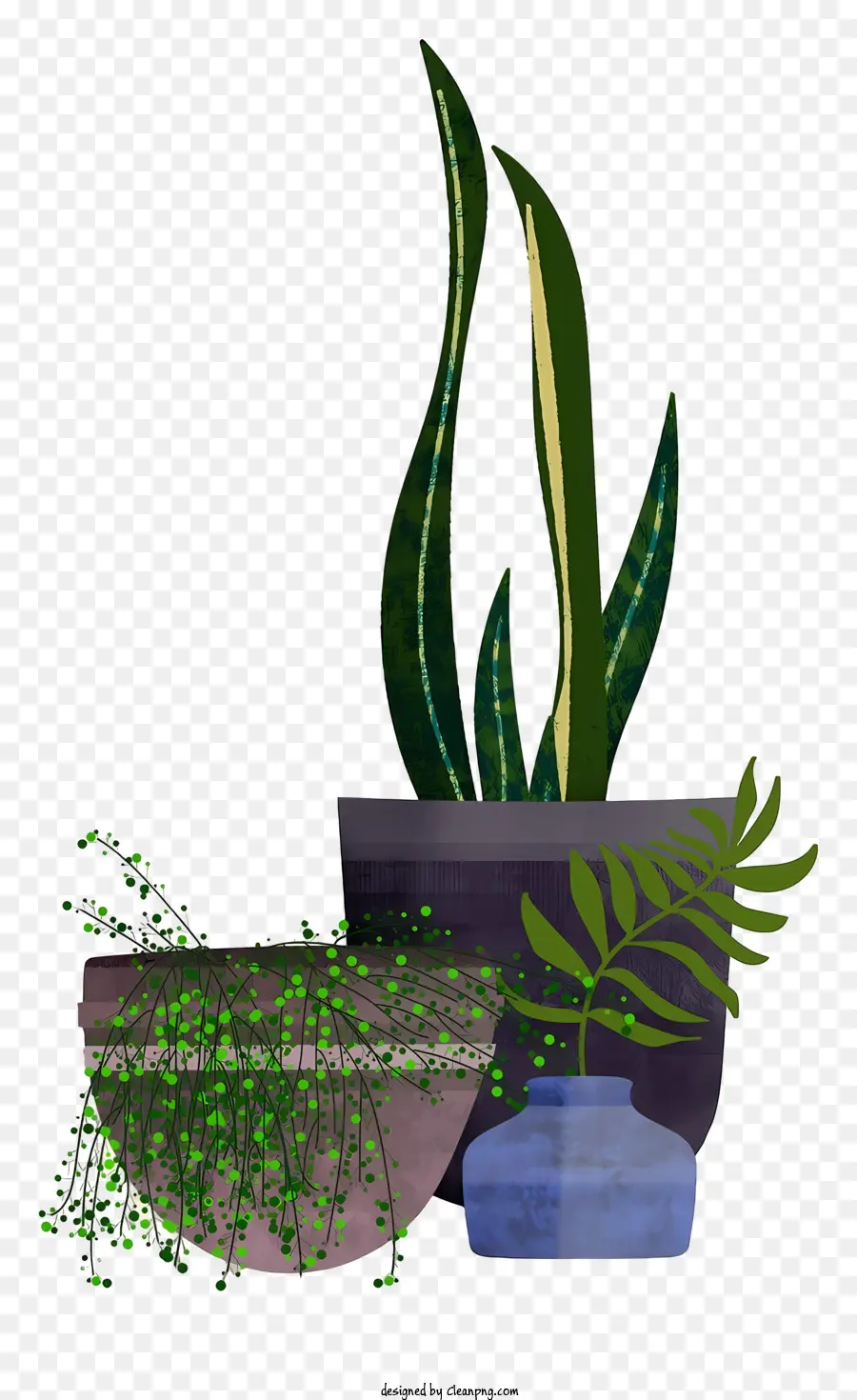 Plantas，Plantas En Macetas PNG