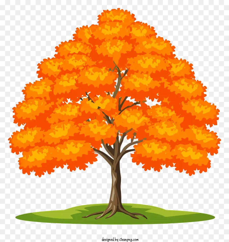 árbol De Naranja，Las Hojas De Los árboles PNG