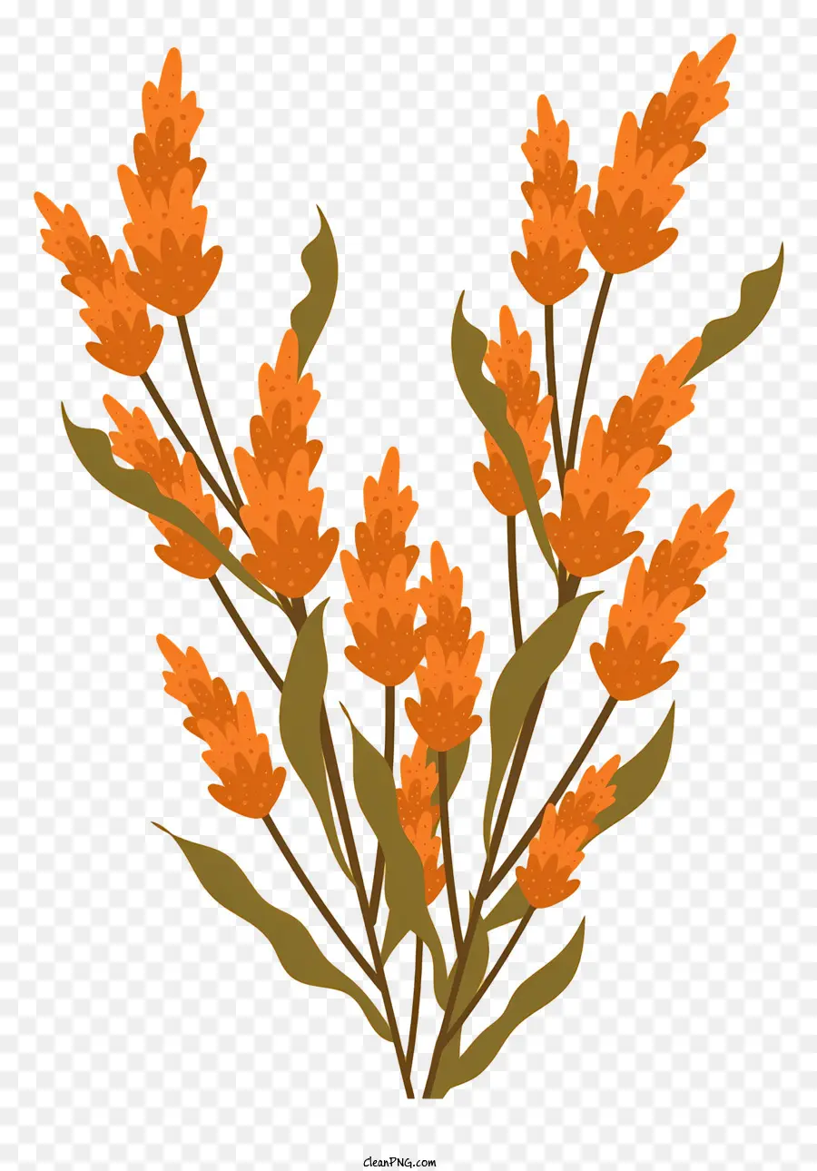 Flores De Color Naranja，Arreglo De Flores PNG