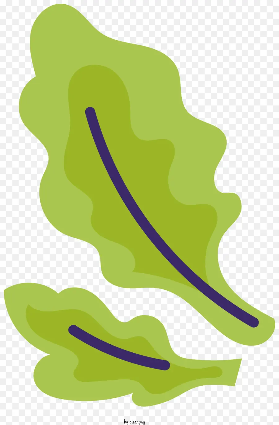 Hojas Verdes，Planta PNG