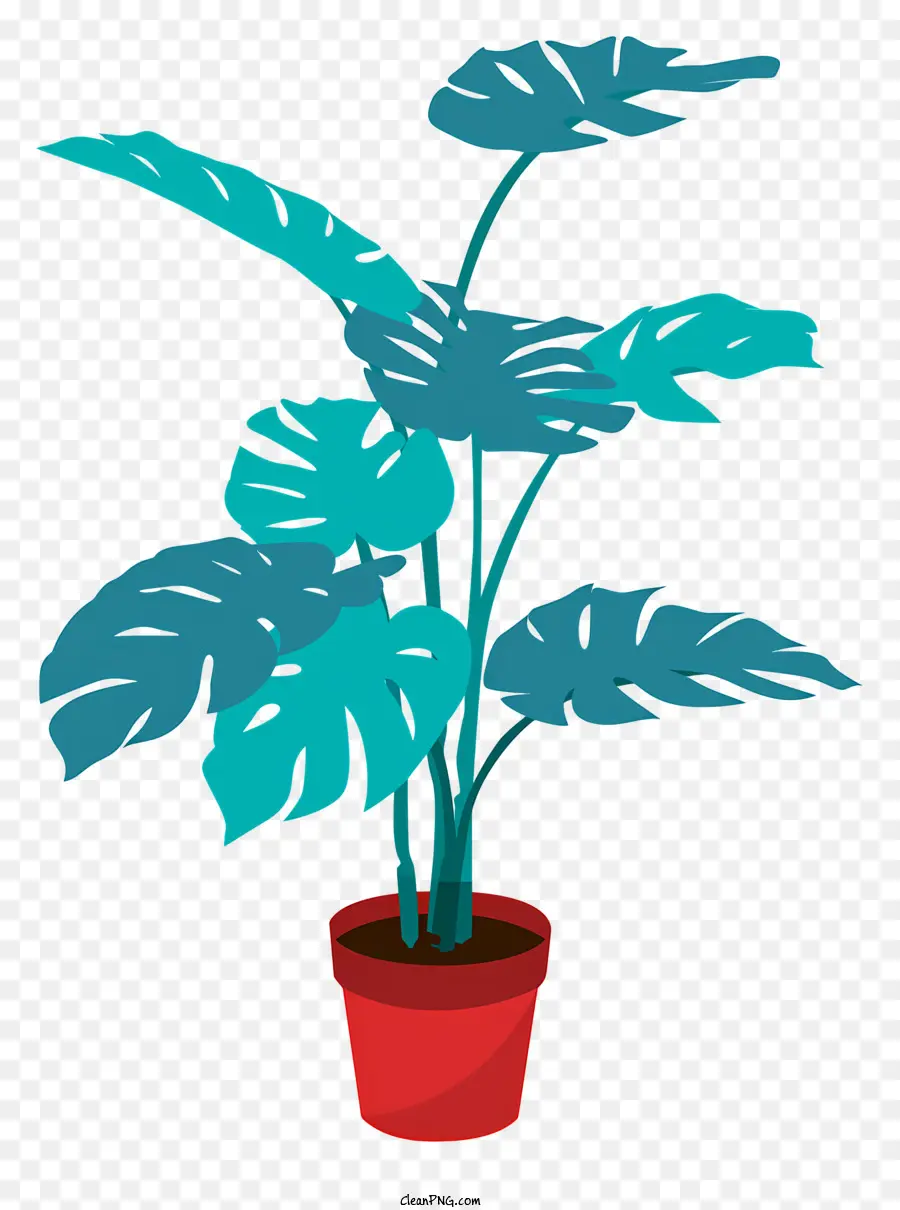 Planta，Bote PNG