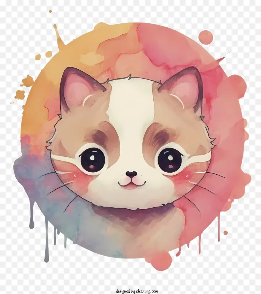 Lindo Gatito，Ojos Grandes PNG