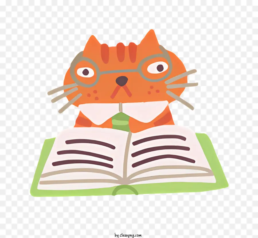 Gato Atigrado Naranja，Libro PNG
