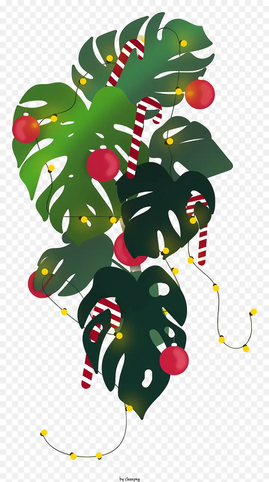 Planta De Navidad，Hojas Verdes PNG