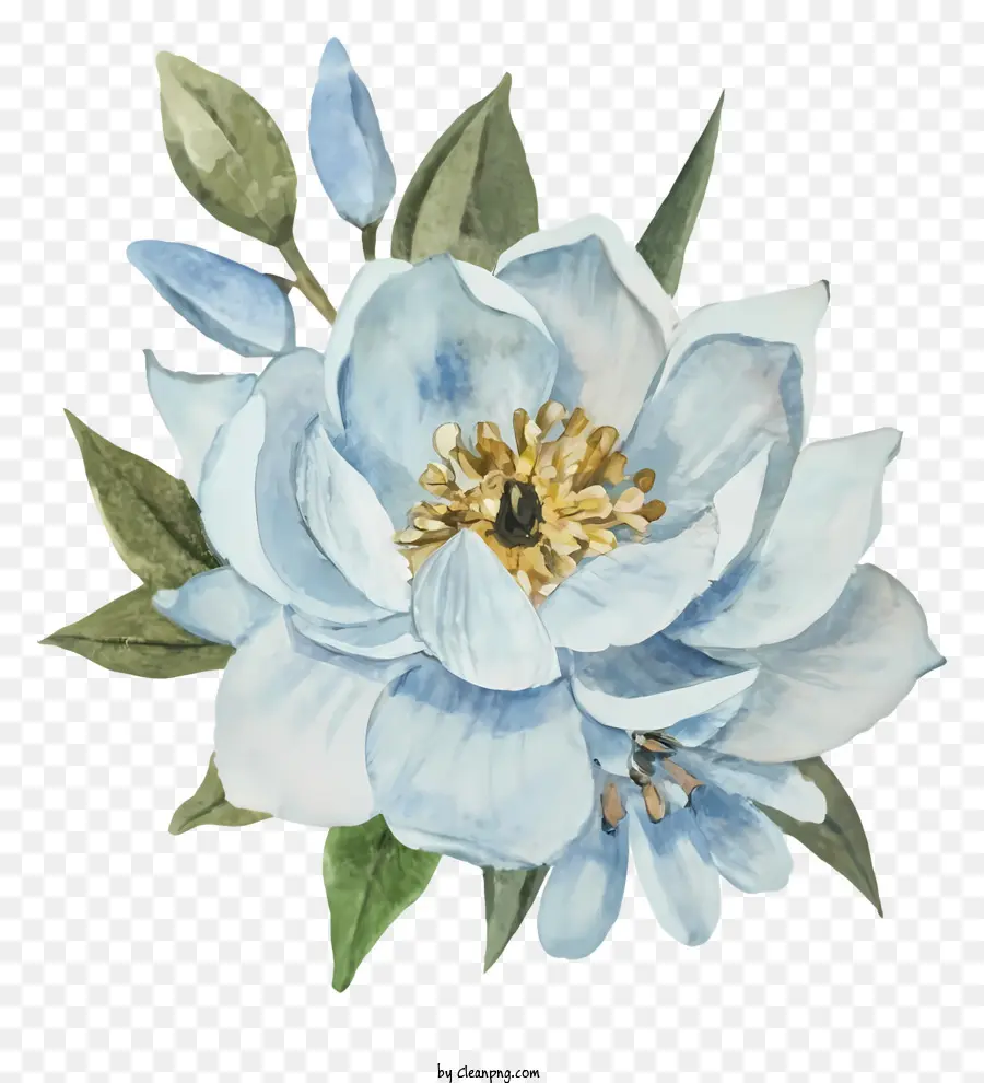 Pintura De Acuarela Blanca，Flor Azul PNG