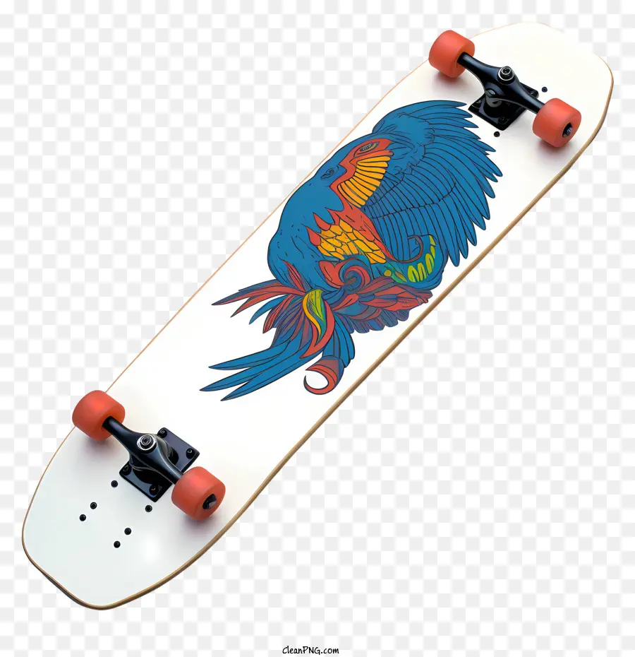 Patineta，Diseño De Aves PNG