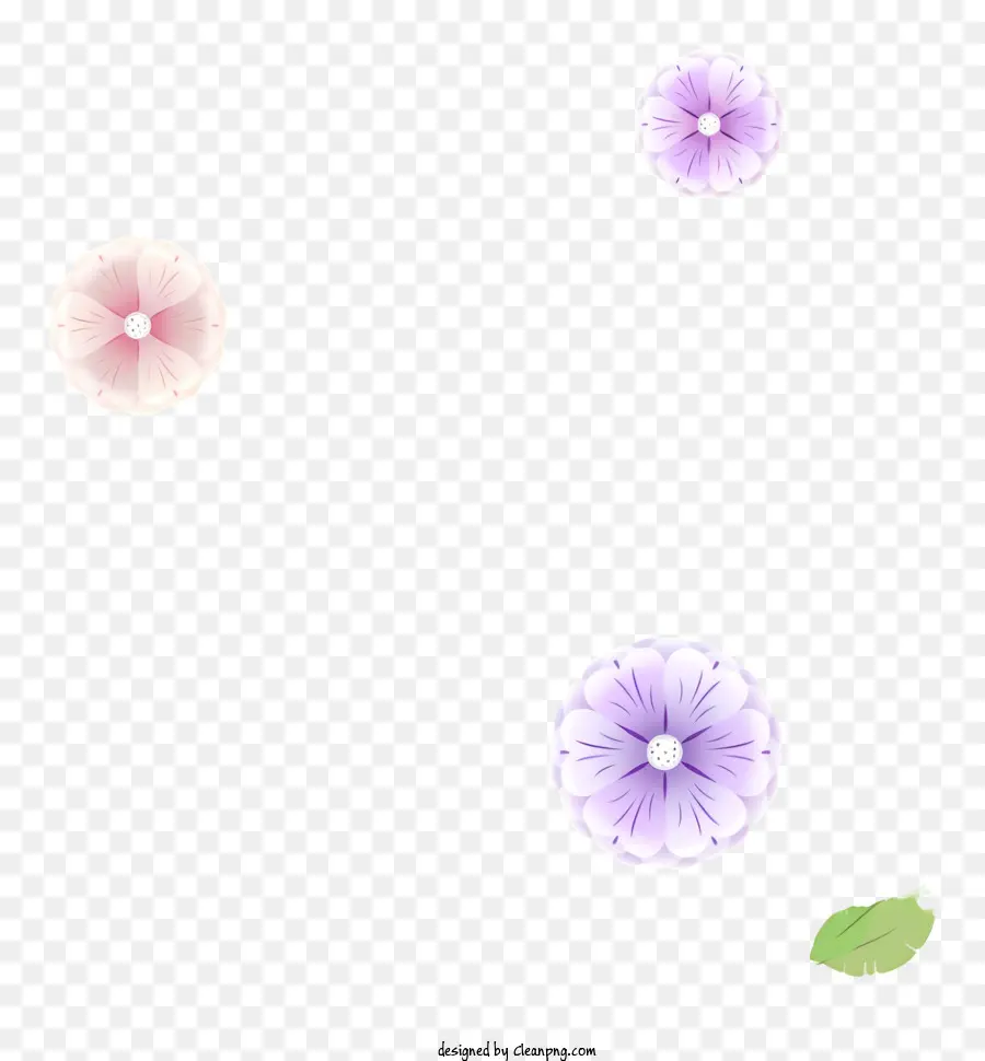 Flores，Flores Blancas PNG