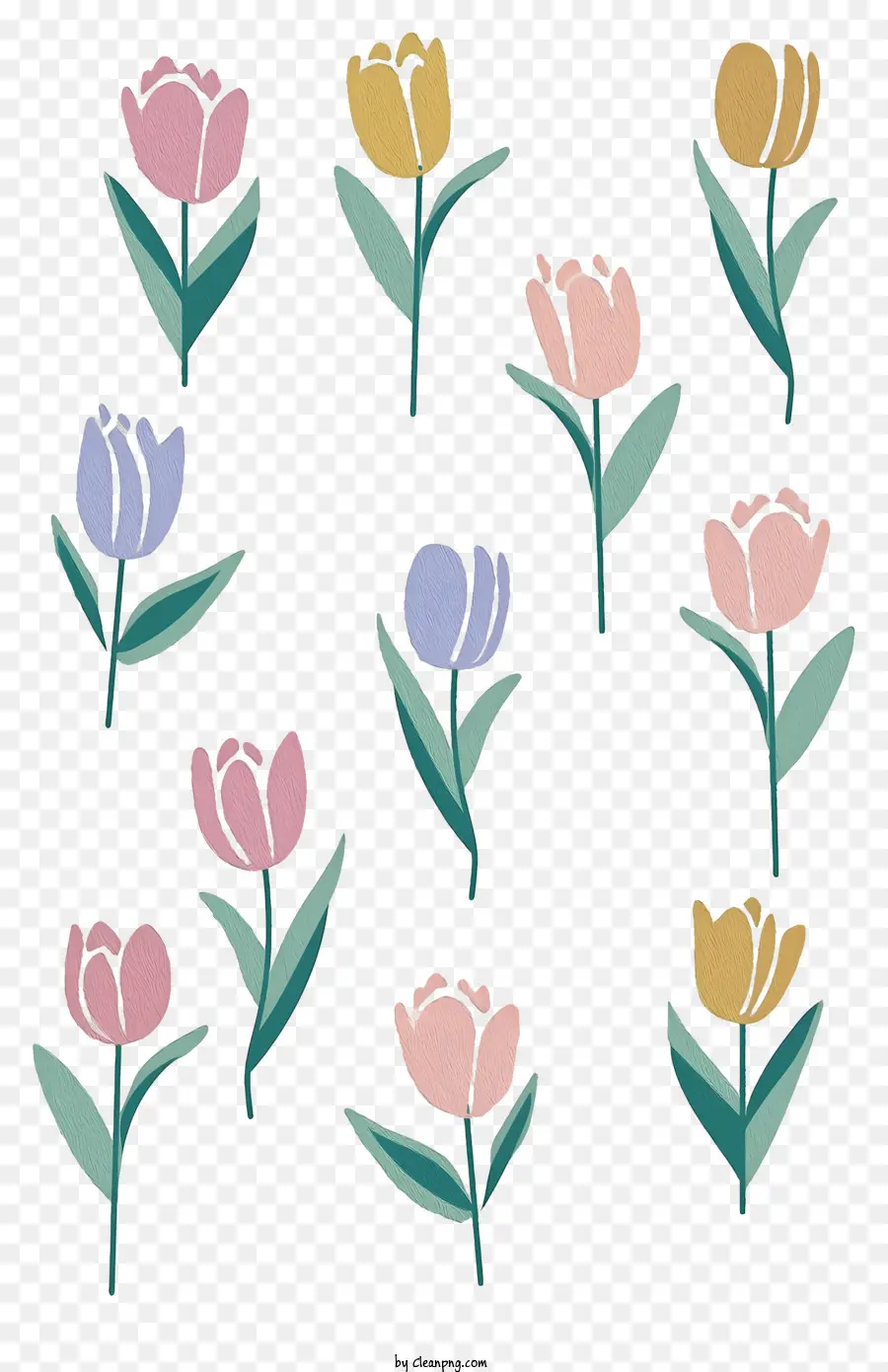 Ilustraciones Coloridas De Tulipán，Tulipanes Dibujados A Mano PNG