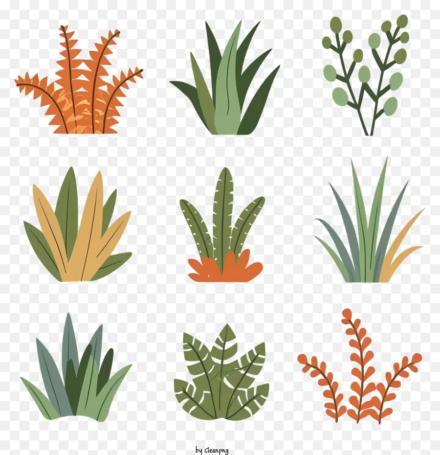 Plantas，Varias Plantas PNG