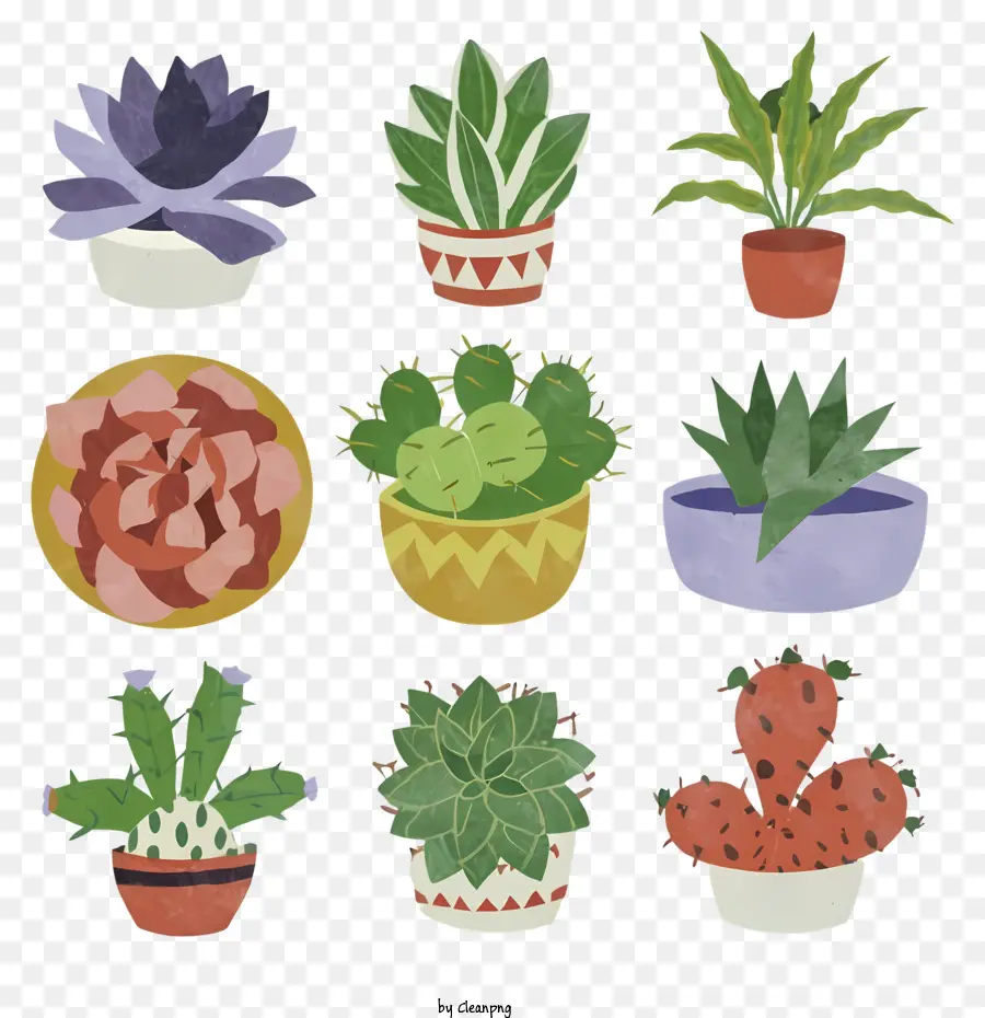 Las Plantas En Maceta，Cacti PNG