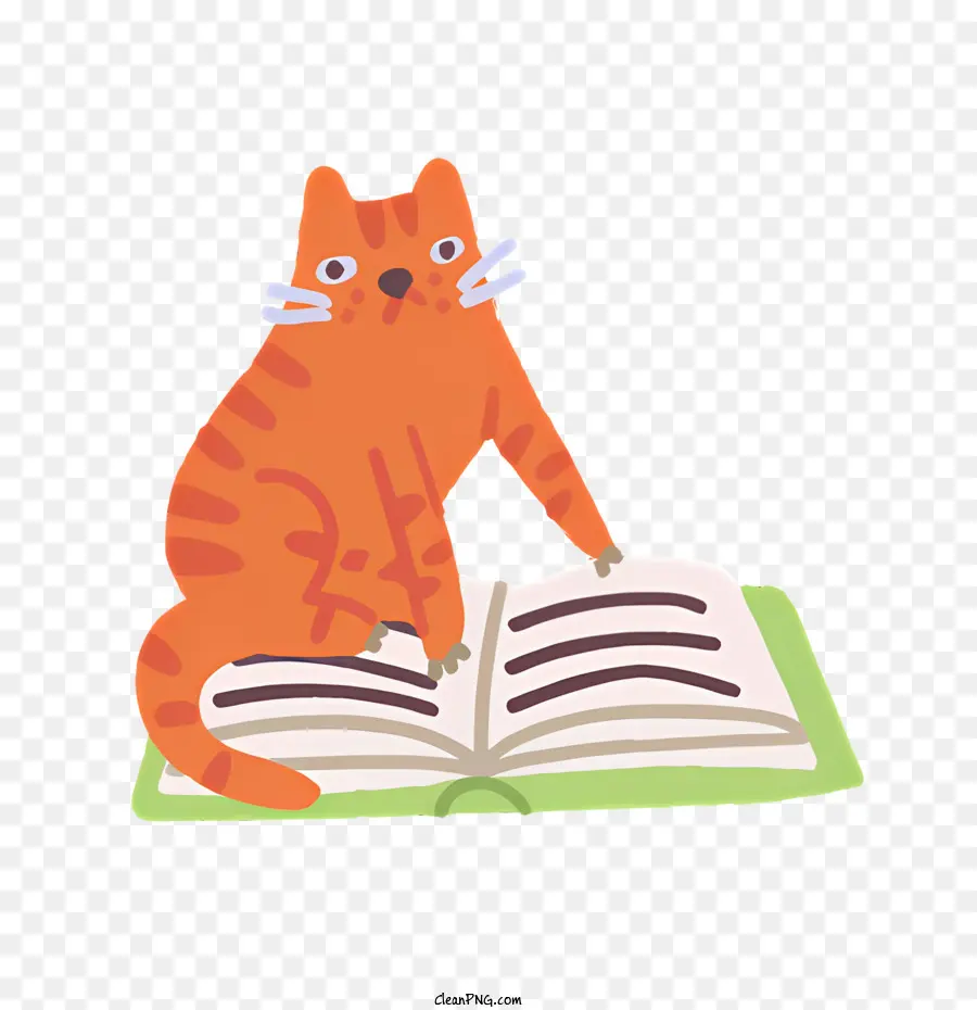 Gato，Libro PNG