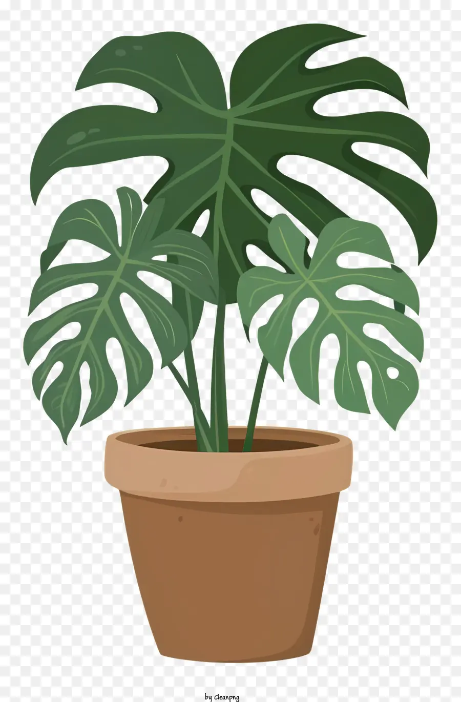 Planta De Interior，Planta En Maceta PNG