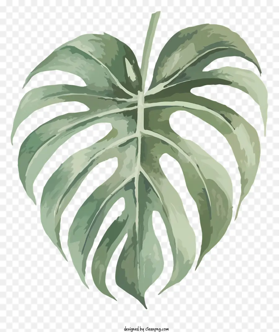 Planta De Hoja De Monstruo，Hoja PNG