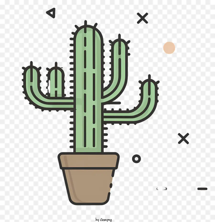 Cactus，Planta PNG