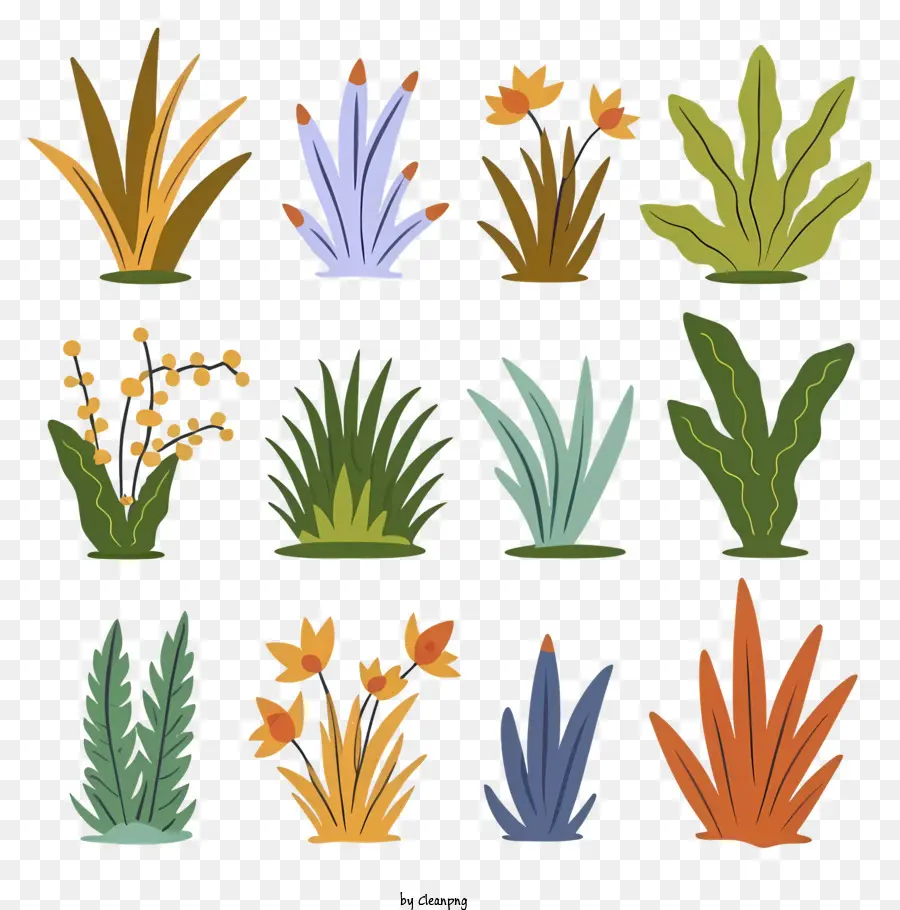 Las Plantas，Hojas PNG