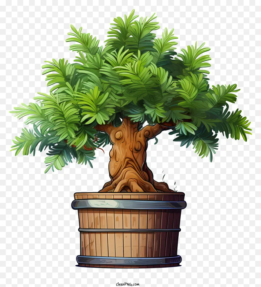 árbol Bonsái，árbol En Maceta PNG