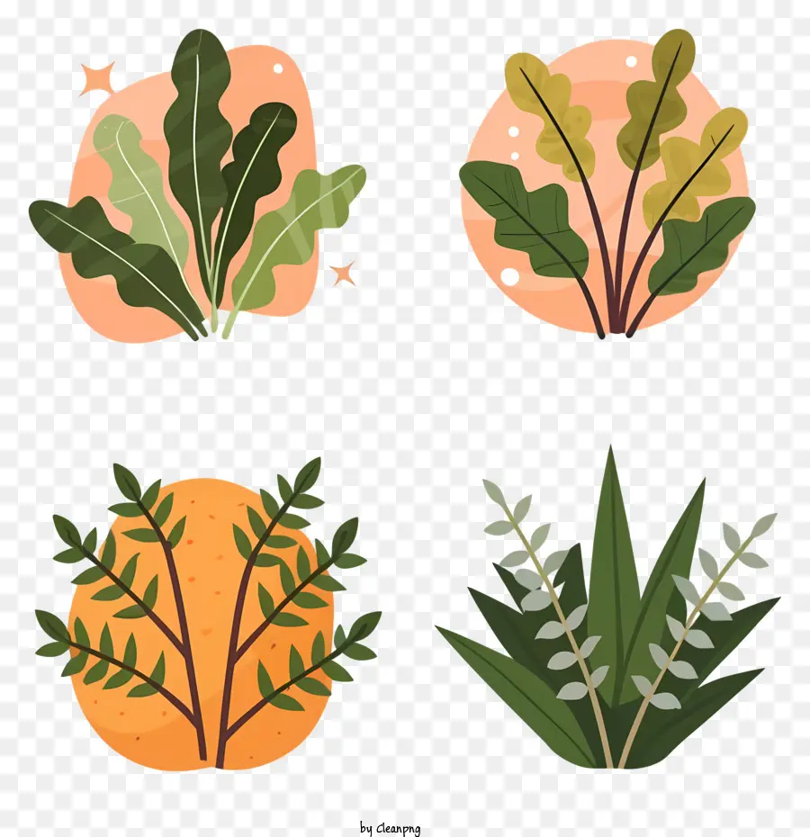 Plantas De Diseño Plano，Plantas Frondosas PNG