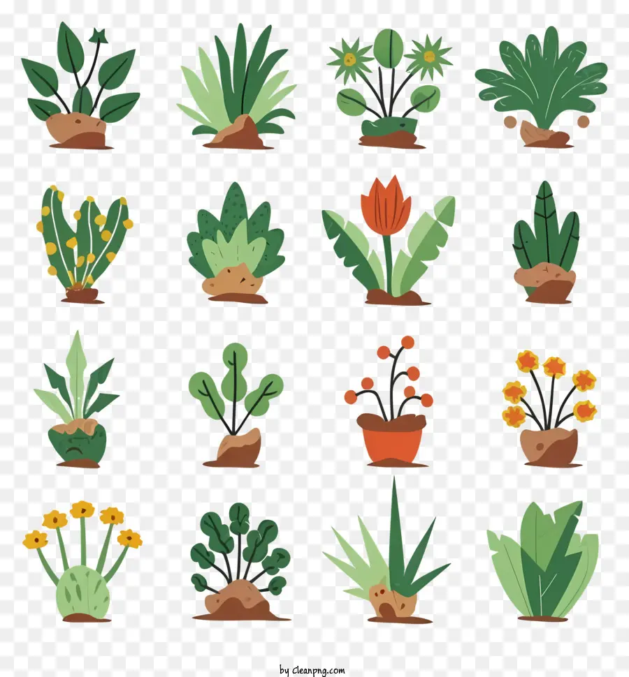 Las Plantas，Ollas PNG