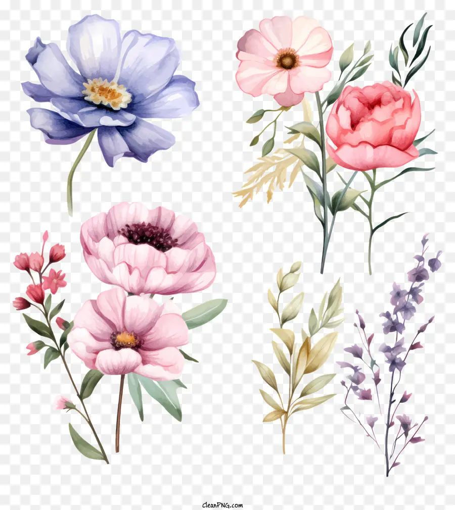 Flores En Un Florero，Rosas De Color Rosa PNG