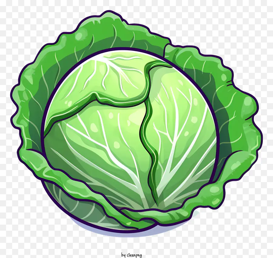 Lechuga，Fresco PNG