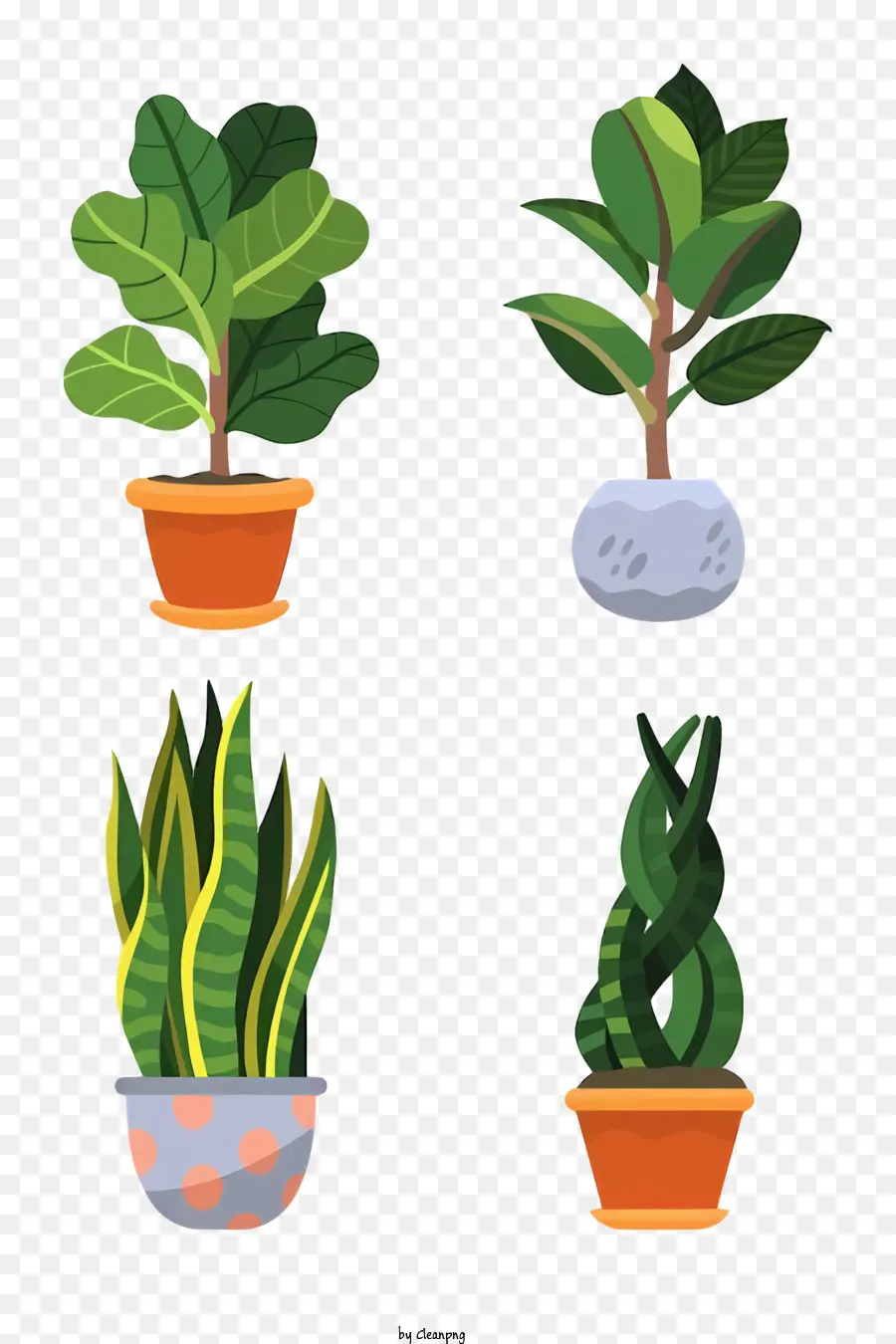 Las Plantas，Helecho PNG