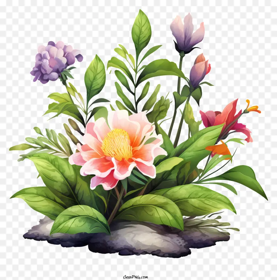 Flores De Colores，Grupo De Flores PNG