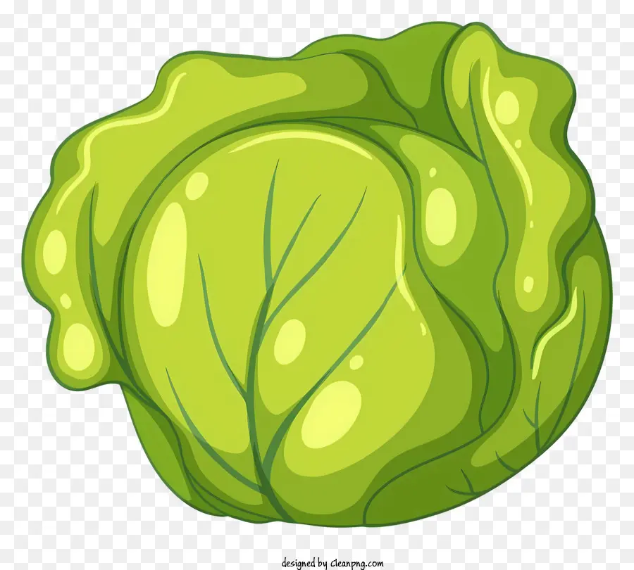 Hoja De Lechuga，Verde Hoja PNG